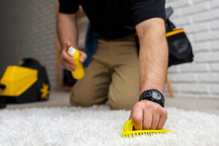 Rate for a professional steam carpet cleaner in Sydney