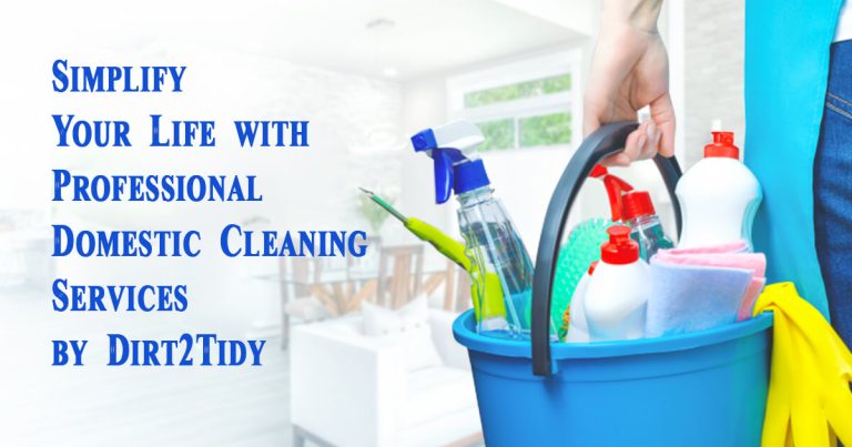 Domestic Cleaning Services