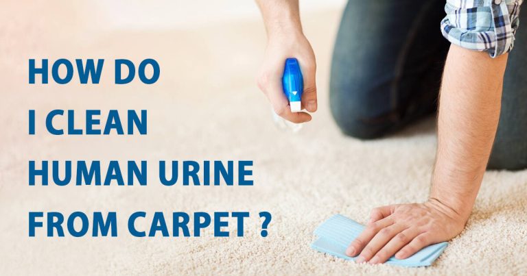 clean human urine from carpet