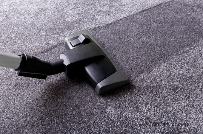 professional carpet cleaning services