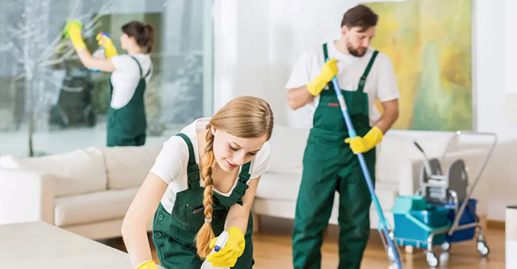 6 FAQs on How to Clean Walls For End of Lease Cleaning? 2 Professional Cleaning Team in Action