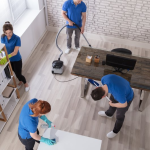 The Ultimate Guide to End of Lease Cleaning Ashfield Hire Dirt2Tidy Professional Bond Cleaners