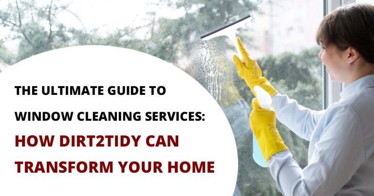 Window Cleaning Services
