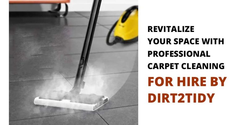 Professional Carpet Cleaning