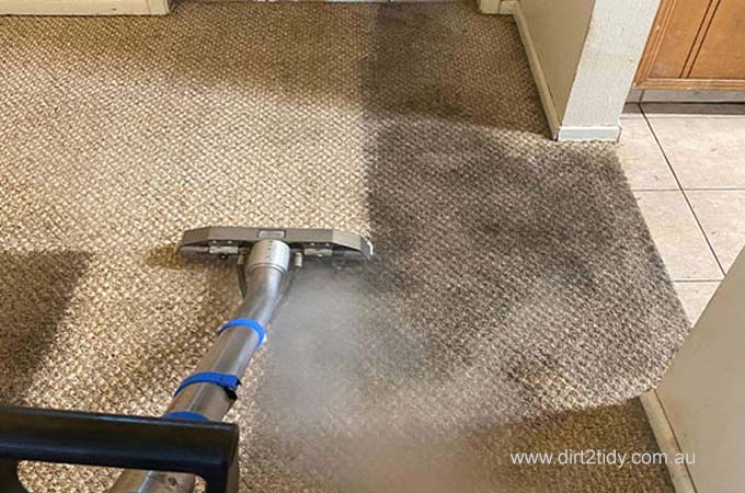 The Ultimate Guide to Rug Steam Cleaning: Everything You Need to Know 3 3 3