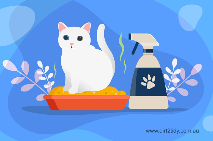 How to get rid of cat urine smell on wood? 2 cat urine smell