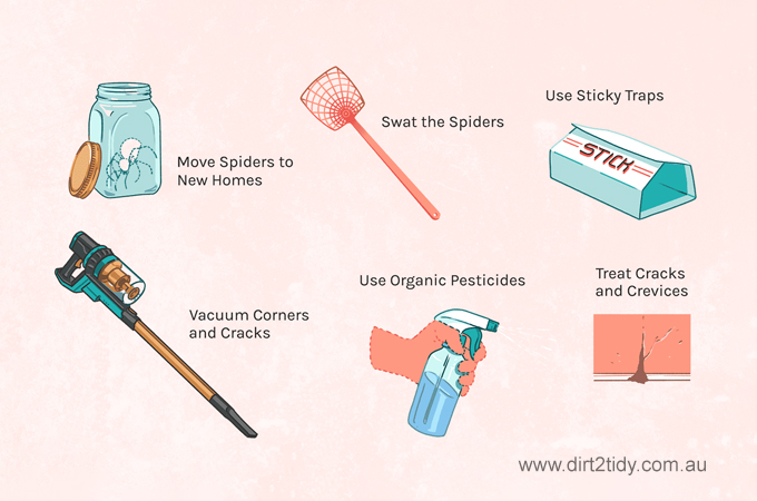 get rid of spiders