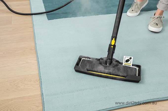 Professional Carpet Cleaning