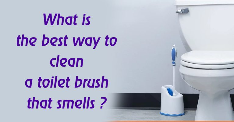 clean a toilet brush