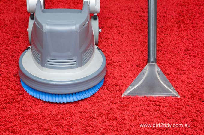 What's Hiding in Your Carpets? The Importance of Carpet Deep Cleaning and Sanitization 1 Carpet Deep Cleaning and Sanitization