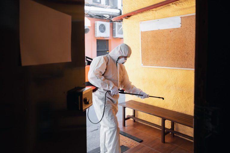 Eco-Friendly Pest Control Solutions for Your Lawn