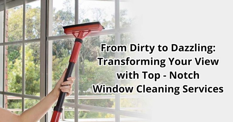 window cleaning