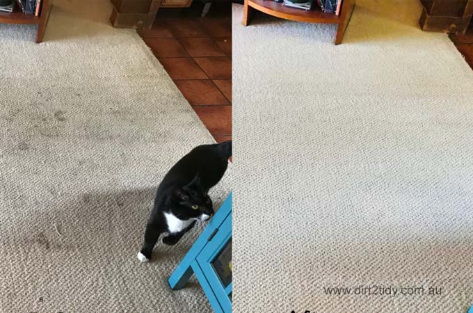 carpet cleaning method