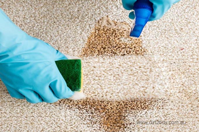 carpet cleaning method