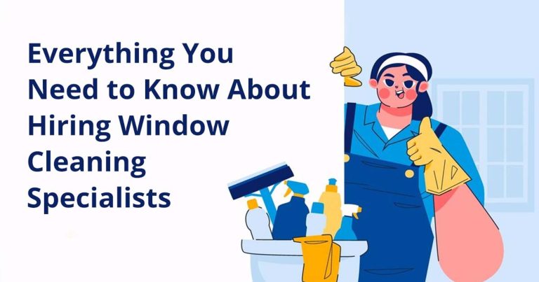 window cleaning