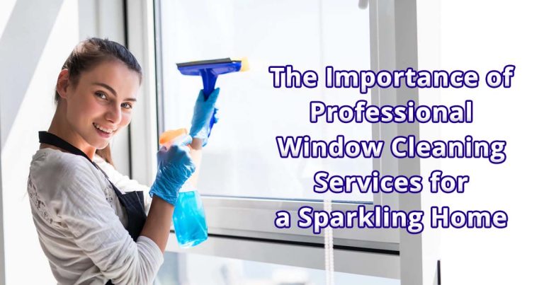 Professional Window Cleaning Services