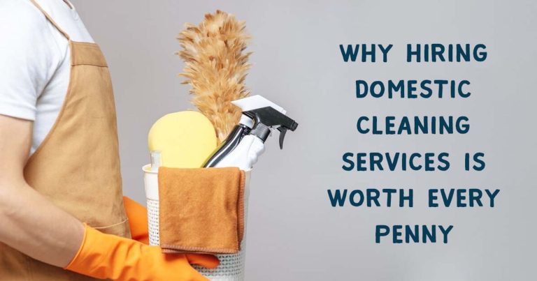 Domestic cleaning