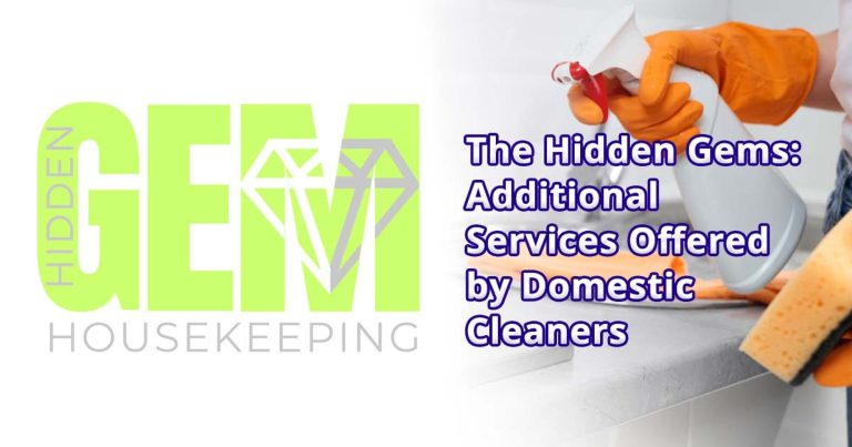 domestic cleaners