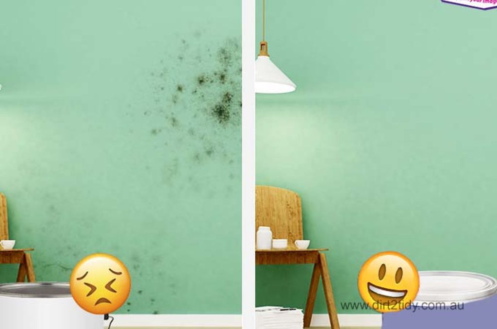 Which paint is good with easy cleaning? 2 paint