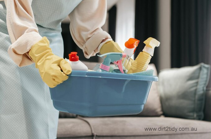 domestic cleaning