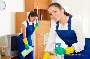 female cleaners working in living room with spray 1