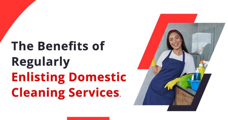 Regular Domestic Cleaning Services