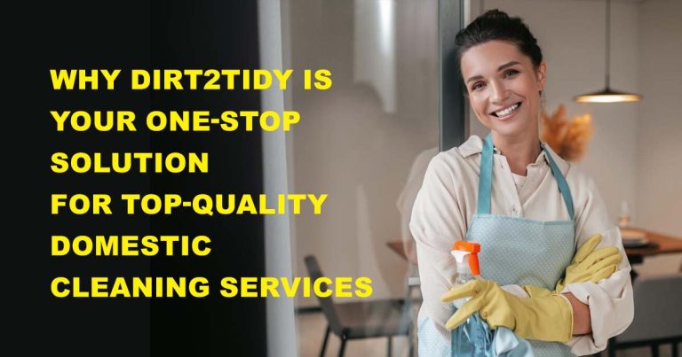 Domestic Cleaning Services