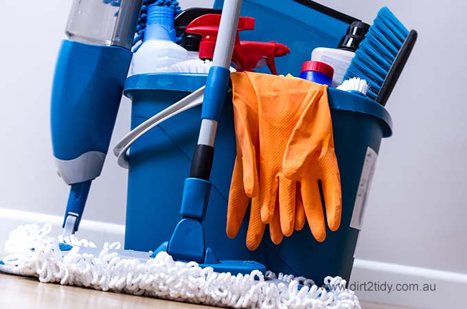 domestic cleaning service