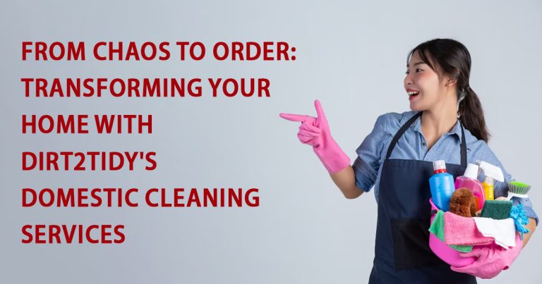 domestic cleaning