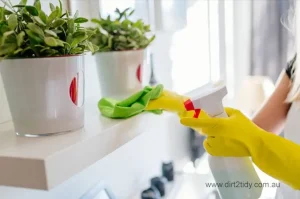 Person with yellow gloves cleaning a shelf near potted plants using spray and cloth.
