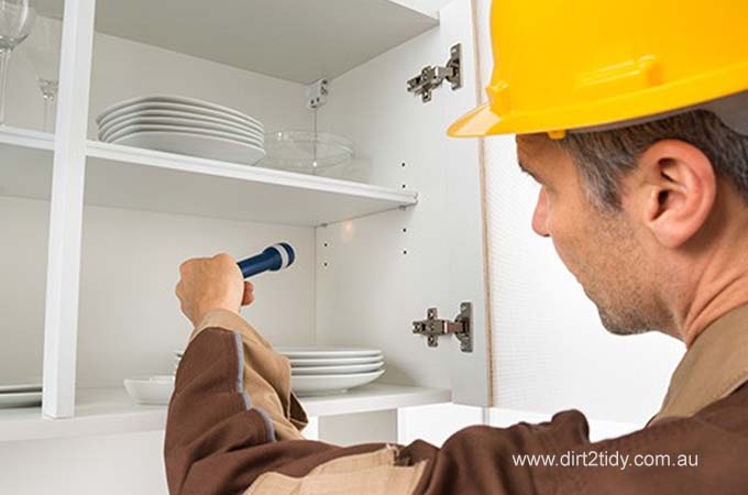 Regular Pest Control Inspections