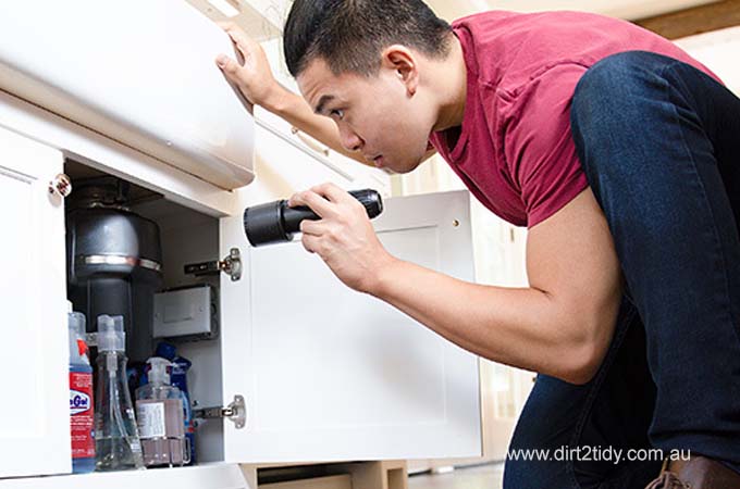 Regular Pest Control Inspections