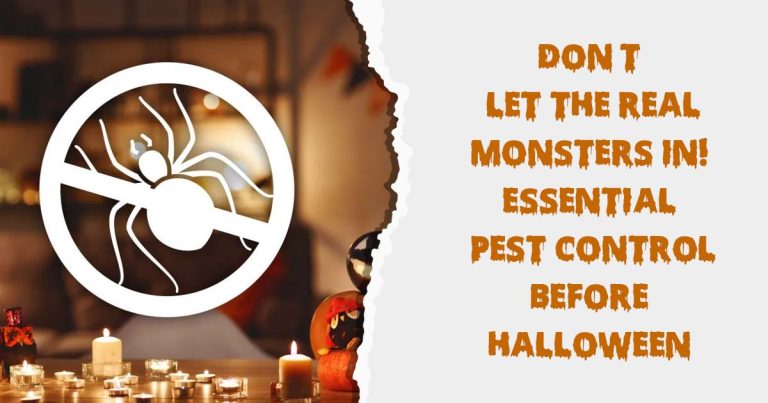 Don’t Let the Real Monsters In! Essential Pest Control Before Halloween