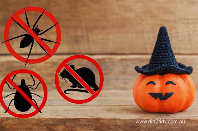  Keep Pests Away This Halloween: Essential Pest Control Tips