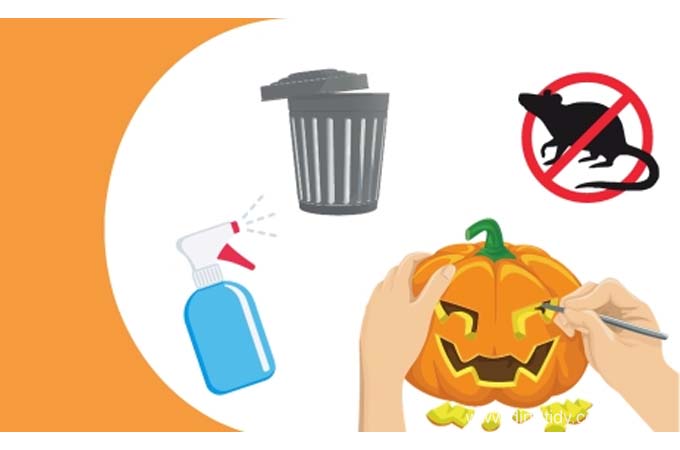 Protect Your Home from Halloween’s Creepiest Critters with Expert Pest Control 4 Expert Pest Control