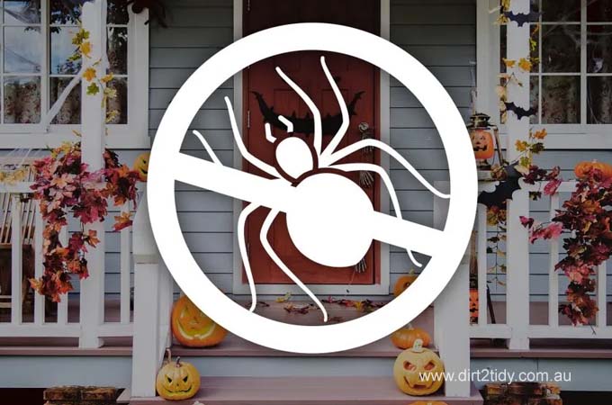 Protect Your Home from Halloween’s Creepiest Critters with Expert Pest Control 3 Expert Pest Control