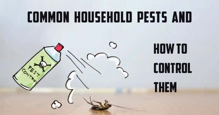 Common Household Pests and Effective Control Methods