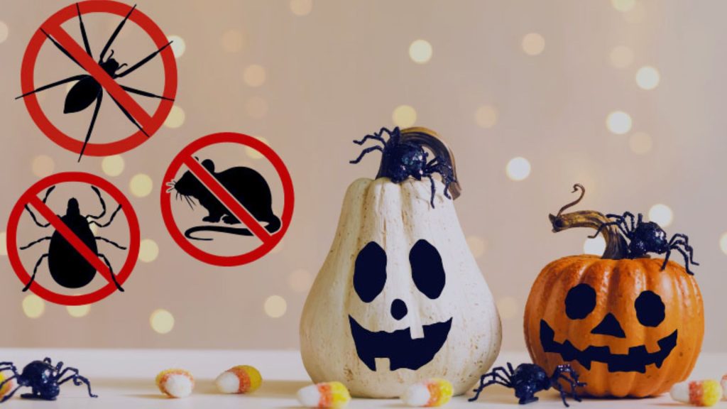 
Keep Pests Away This Halloween: Tips for a Pest-Free Home