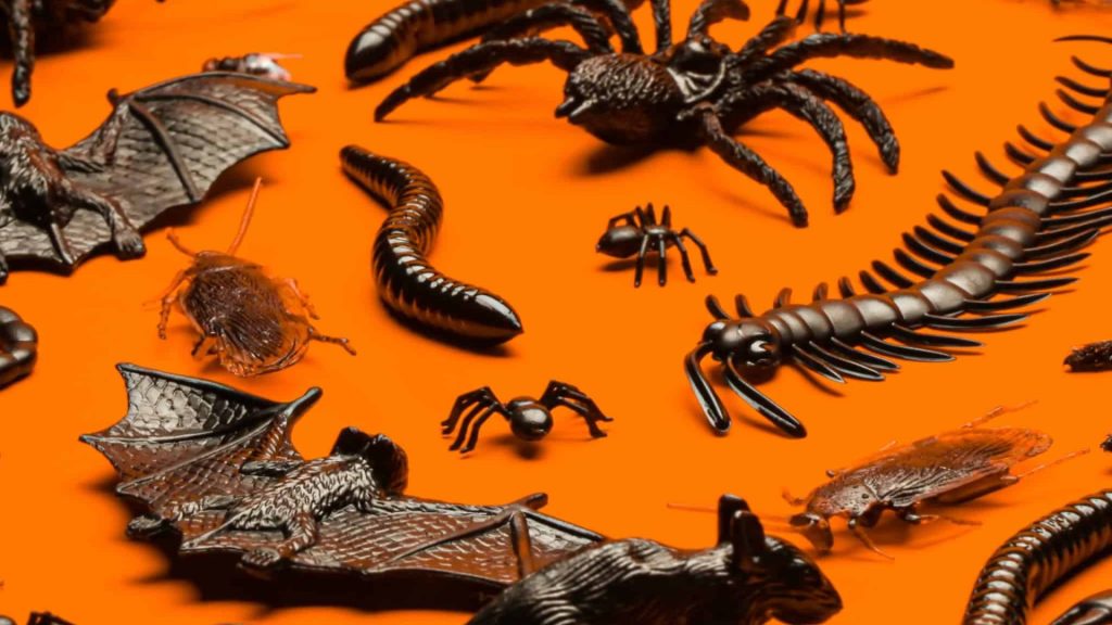 Keep Pests Away This Halloween: Tips for a Pest-Free Home