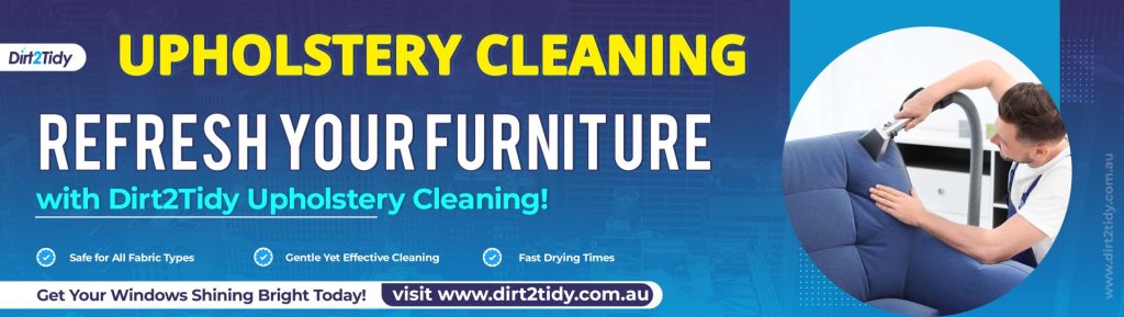 Upholstery Cleaning 1