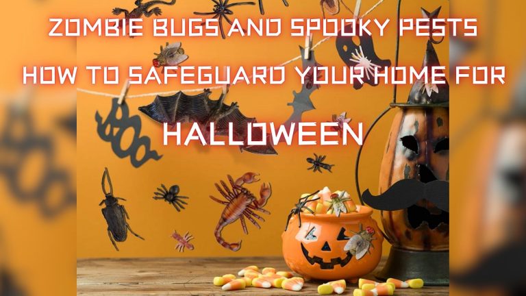 Protect Your Home from Halloween Pests: Keep Bugs Away