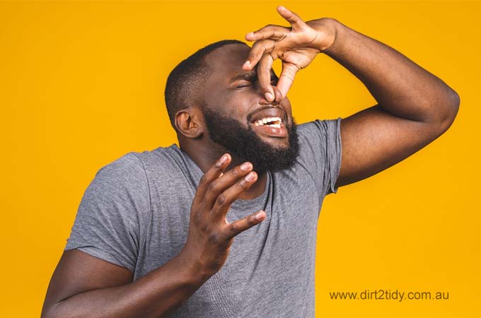 Tips for dealing with Odors in the Property 3 Tips for dealing with Odors