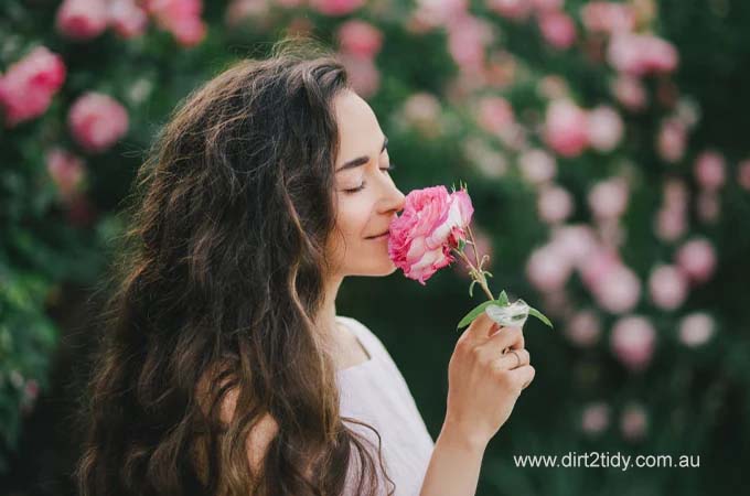 Tips for dealing with Odors in the Property 4 Tips for dealing with Odors