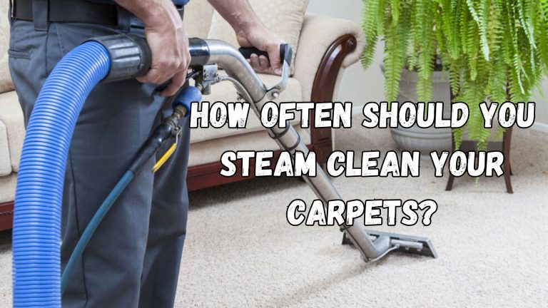 How Often Should You Steam Clean Your Carpets?