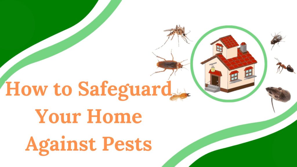 Pest Control Tips for Australian Homes 4 Pest Control Tips