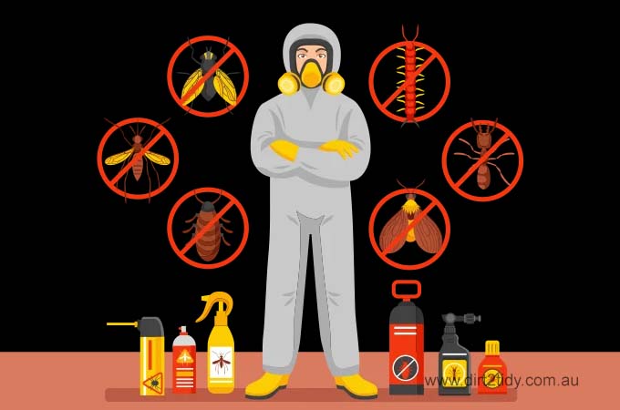 Household Pests in Australia