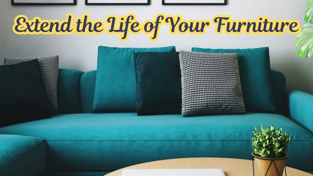 professional upholstery cleaning