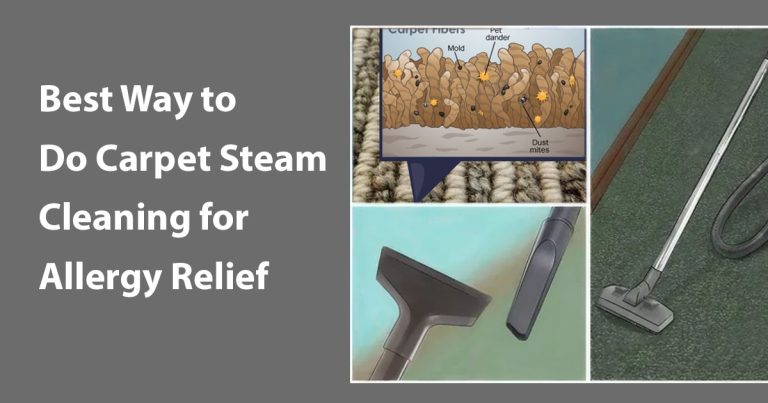 Best Way to Do Carpet Steam Cleaning for Allergy Relief