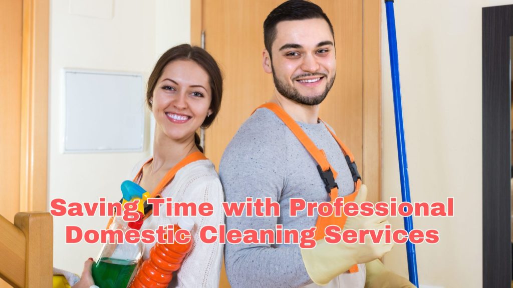 professional domestic cleaning service