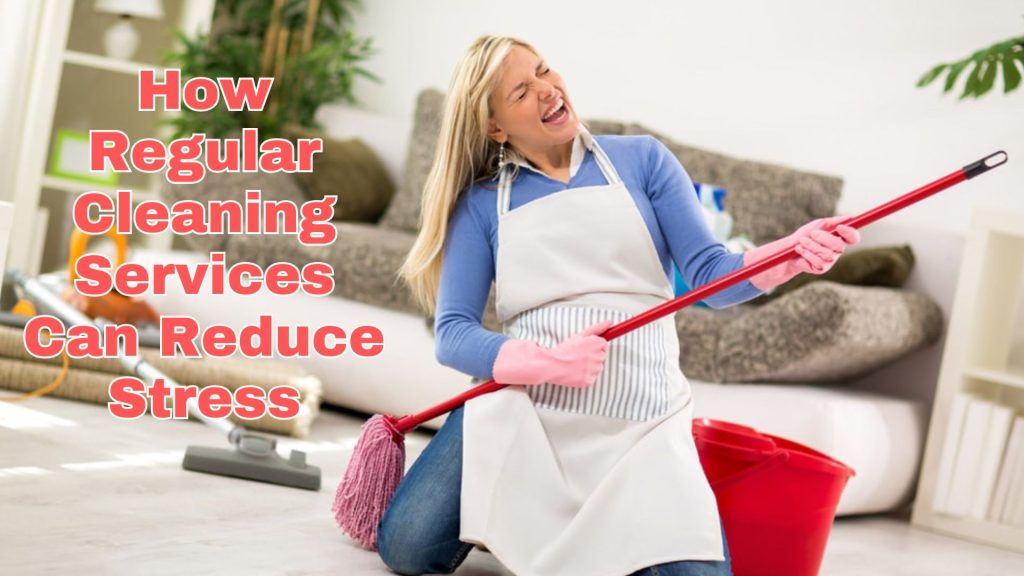 professional domestic cleaning service